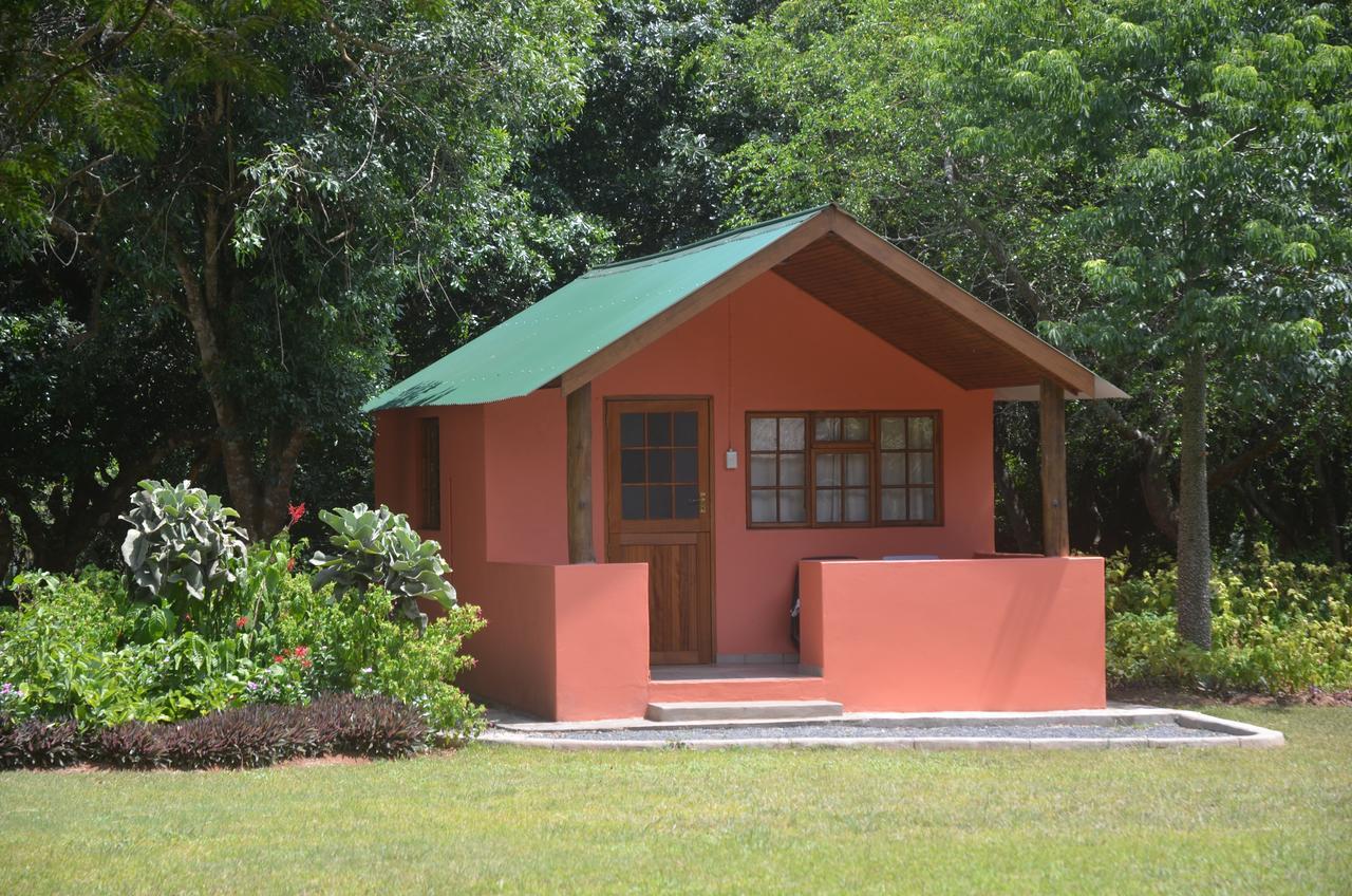 Bushbaby Lodge & Camping 슐룰루웨 외부 사진