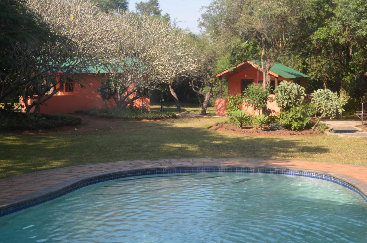 Bushbaby Lodge & Camping 슐룰루웨 외부 사진